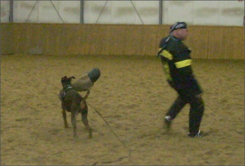 Training in Finland 12/2007